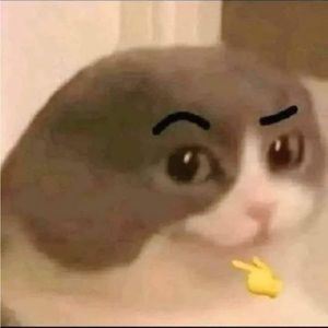 Meet your Posher, Ian